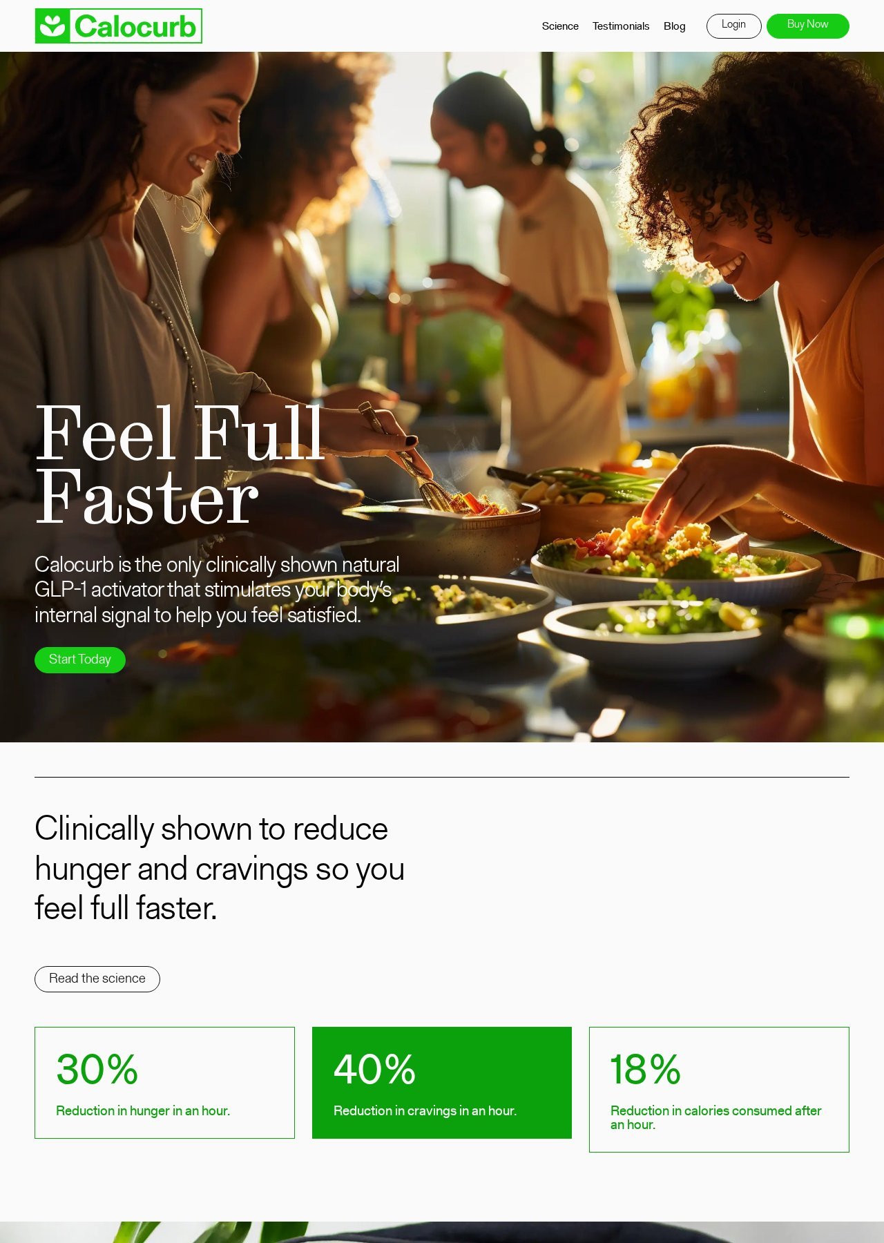 Calocurb homepage, original design